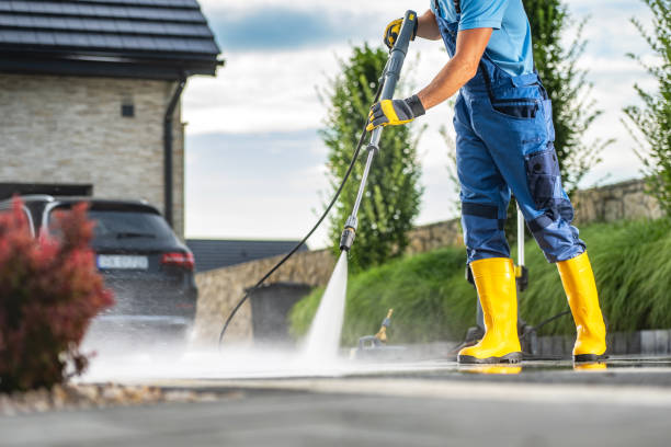 Best Gutter Cleaning  in Saltillo, MS